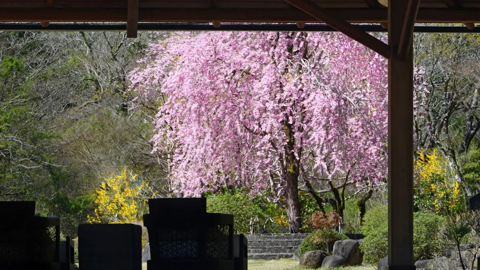 Tofuya Resort & Spa - Izu
