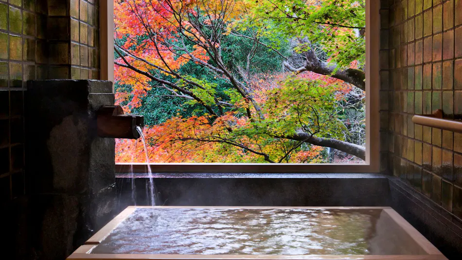 Tofuya Resort & Spa - Izu