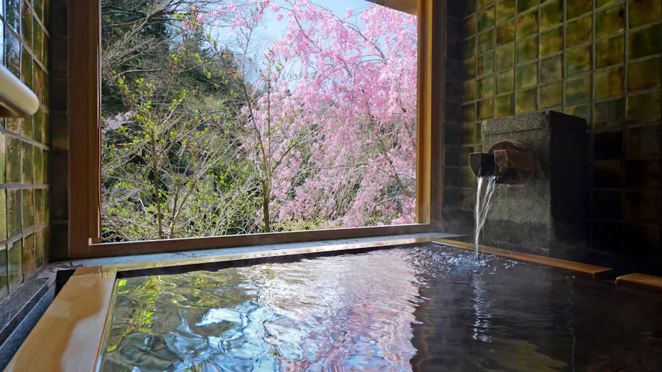 Tofuya Resort & Spa - Izu