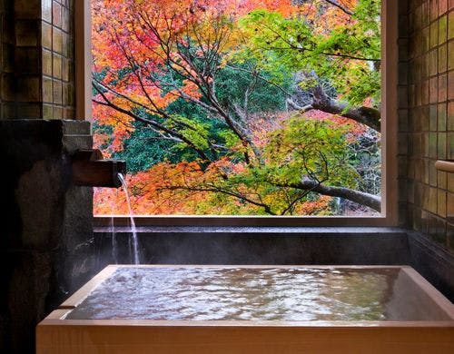 和洋室A桜