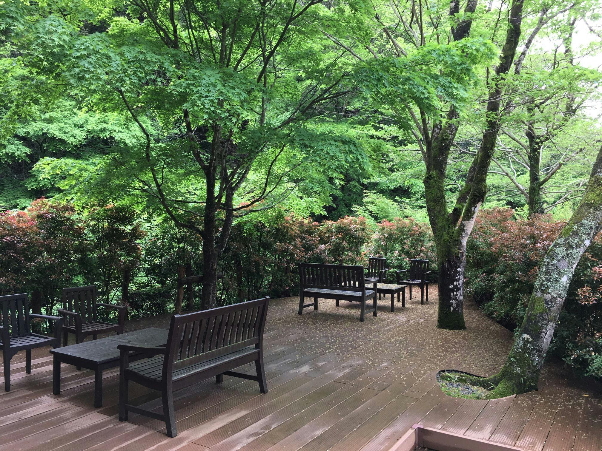 御宿さか屋 絶景が話題の宿 お得に宿泊予約 Yahoo トラベル