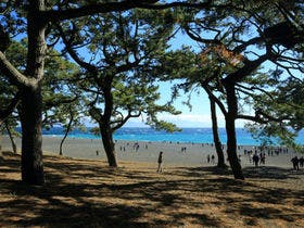 天女の館 羽衣ホテル