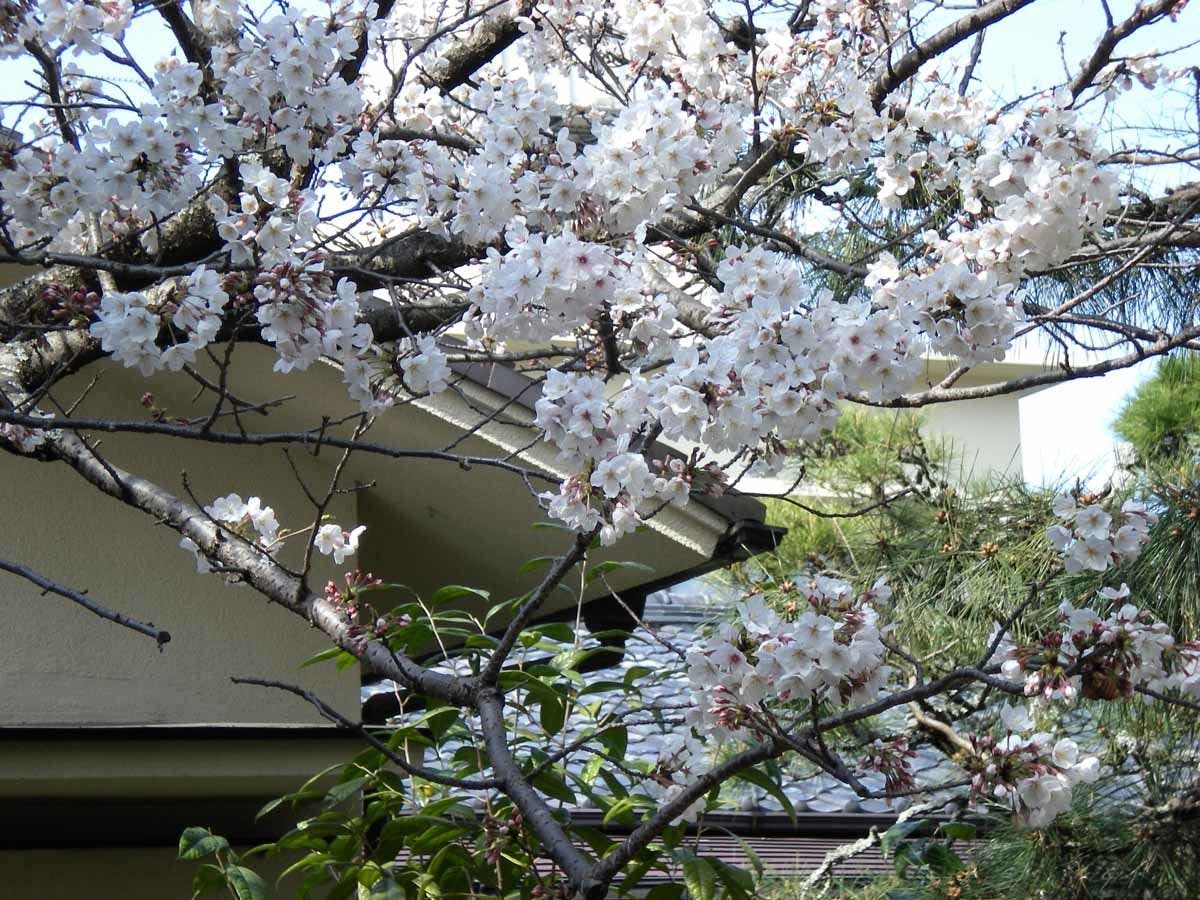 羽衣ホテル