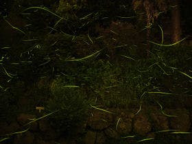 名栗温泉 大松閣 2枚目