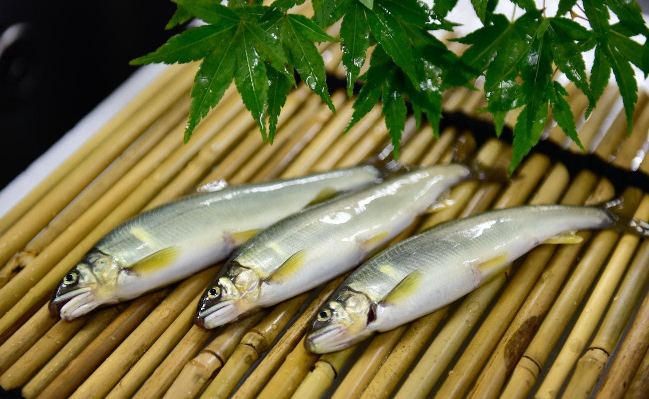大松閣