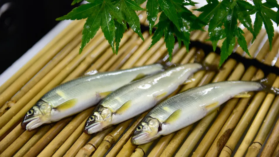 taishoukaku