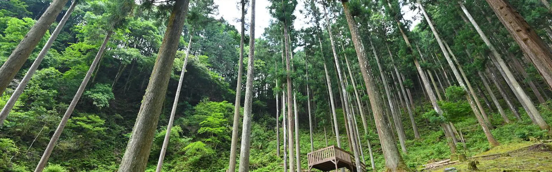 大松閣