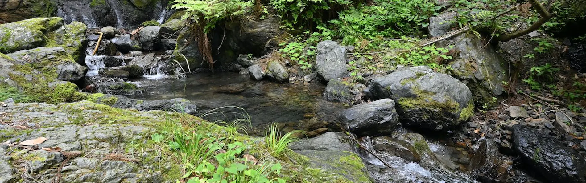 大松閣