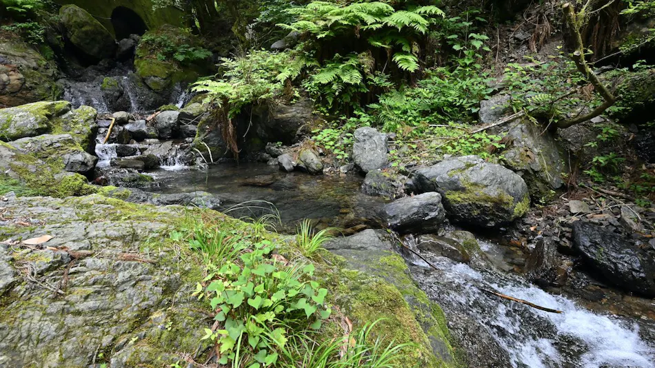 taishoukaku