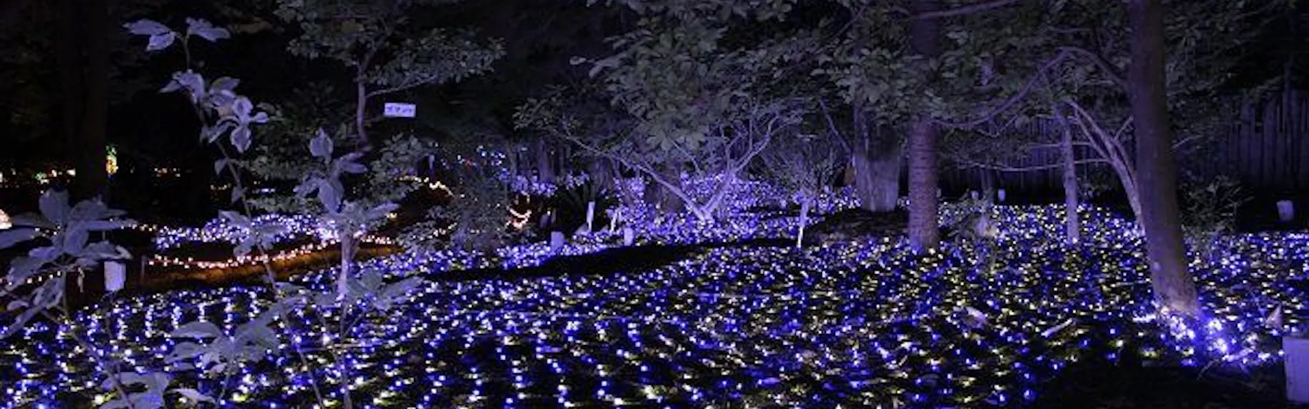 奈良 万葉若草の宿 三笠