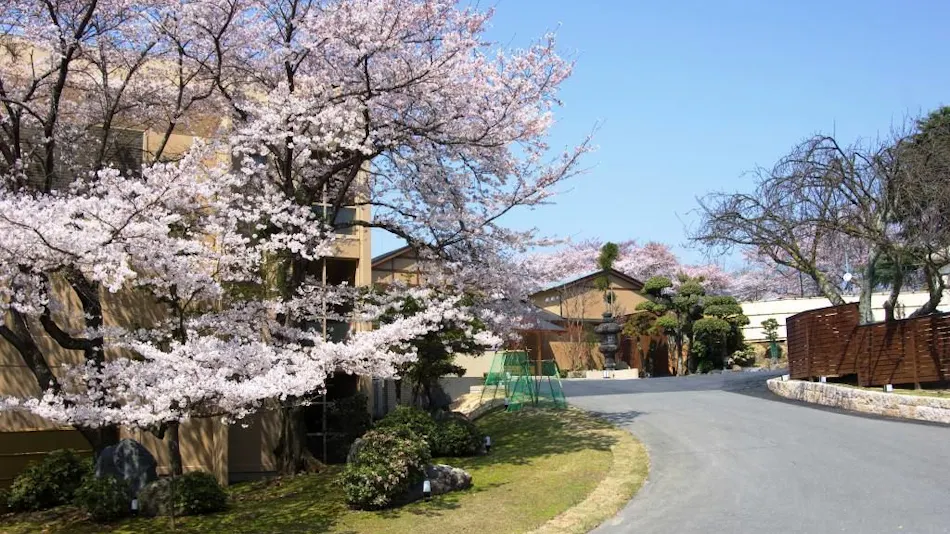 Nara Manyo Wakakusa no Yado Mikasa