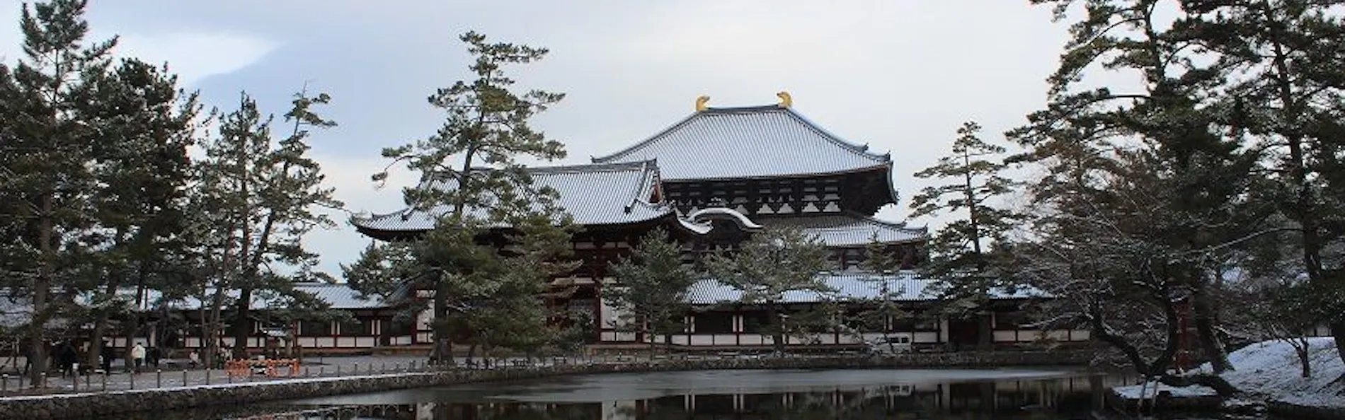 奈良 万葉若草の宿 三笠