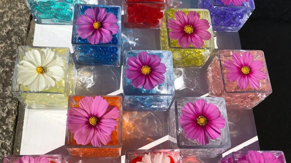 Nara Manyo Wakakusa no Yado Mikasa