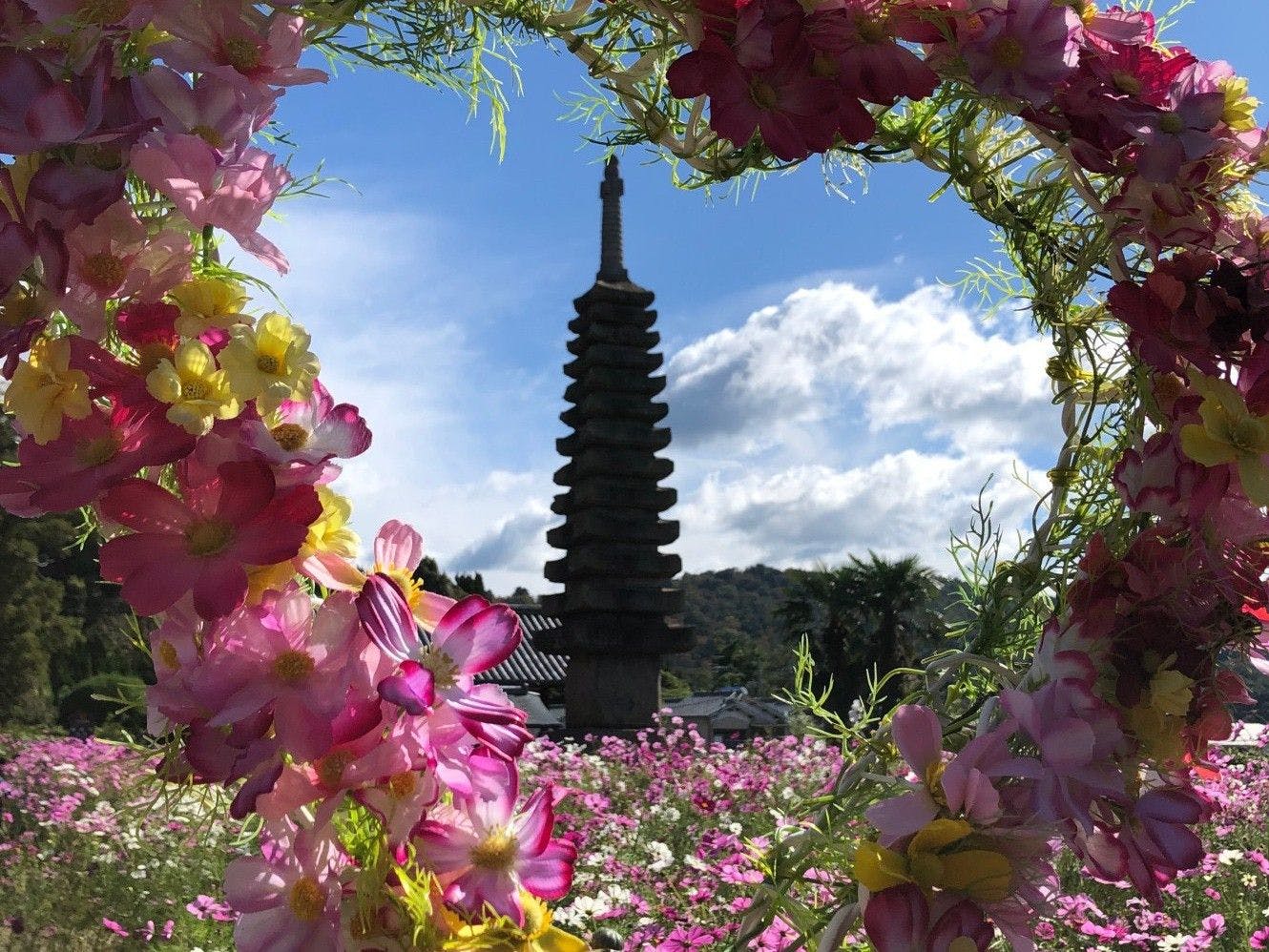 奈良　万葉若草の宿　三笠