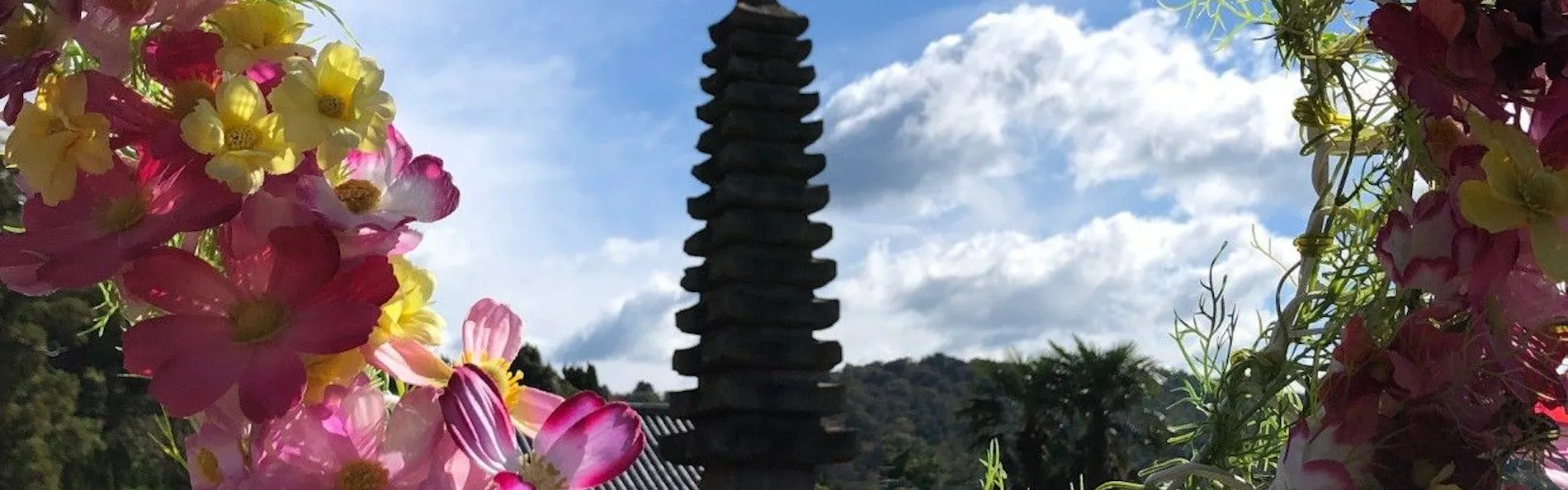 奈良 万葉若草の宿 三笠