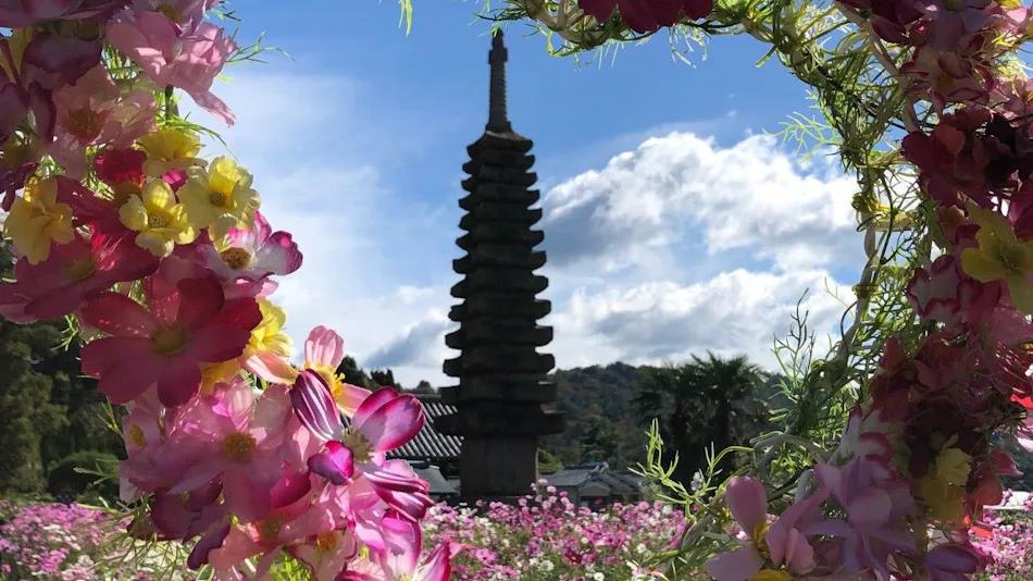 Nara Manyo Wakakusa no Yado Mikasa