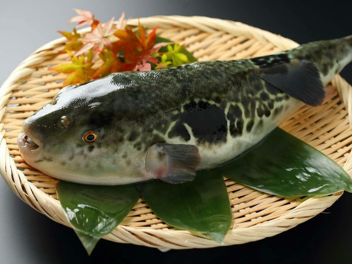Unzen Onsen UnzenFukudaya