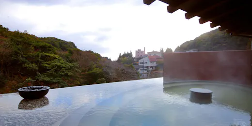 白濁源泉掛け流し八湯めぐりの湯 雲仙温泉 民芸モダンの宿 雲仙福田屋