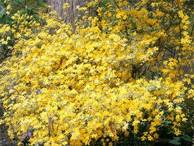 オーベルジュ楓乃木