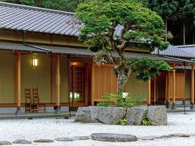 楓乃木