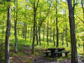 黒川温泉 山あいの宿 山みず木
