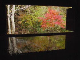 黒川温泉 山あいの宿 山みず木