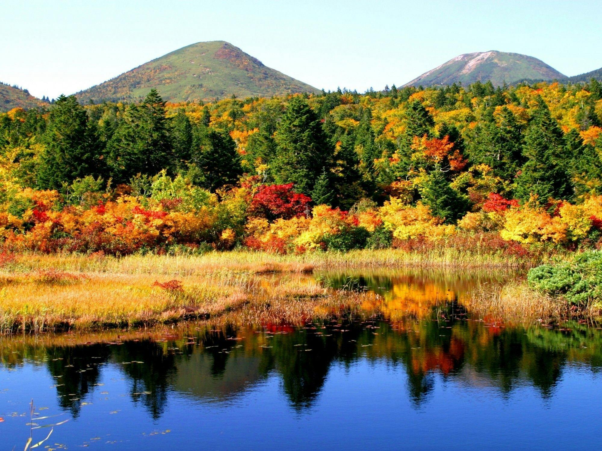 【周辺景観】「睡蓮沼」