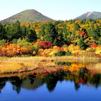 【周辺景観】「睡蓮沼」