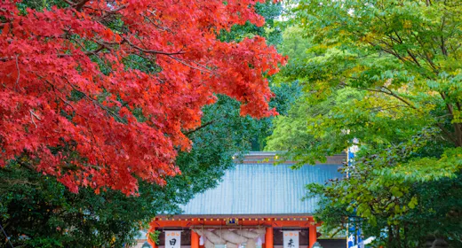 【お日にち限定】<松阪牛ステーキ付>熊野倶楽部をお得に堪能 ―美食オールインクルーシブー