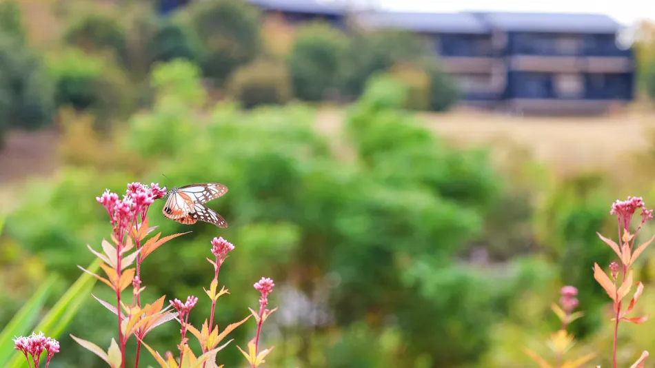 World Heritage Resort Kumano Club