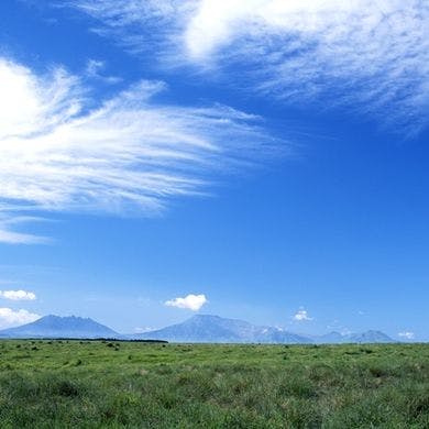 【早割90】朝食無しで朝寝坊＜離れ・天然温泉付＞「豊のしゃも」炭火焼きを味わう創作和会席（夕食付）