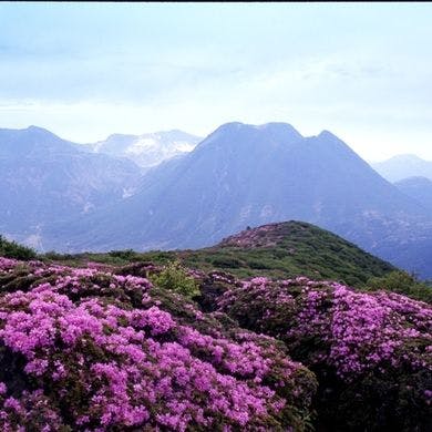 【登山・トレッキング応援】＜離れ・天然温泉付＞九重登山を満喫　朝食・お弁当付きプラン（朝食付）