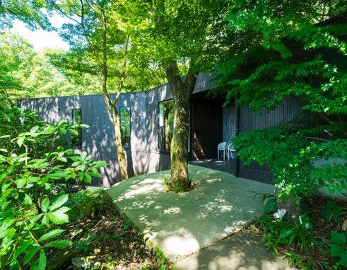 【森】客室一例