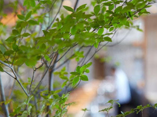 鮨・日本料理「暦」