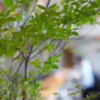 鮨・日本料理「暦」