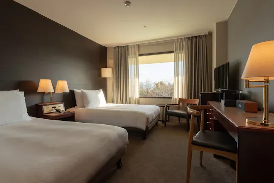 Standard Twin Mountain View