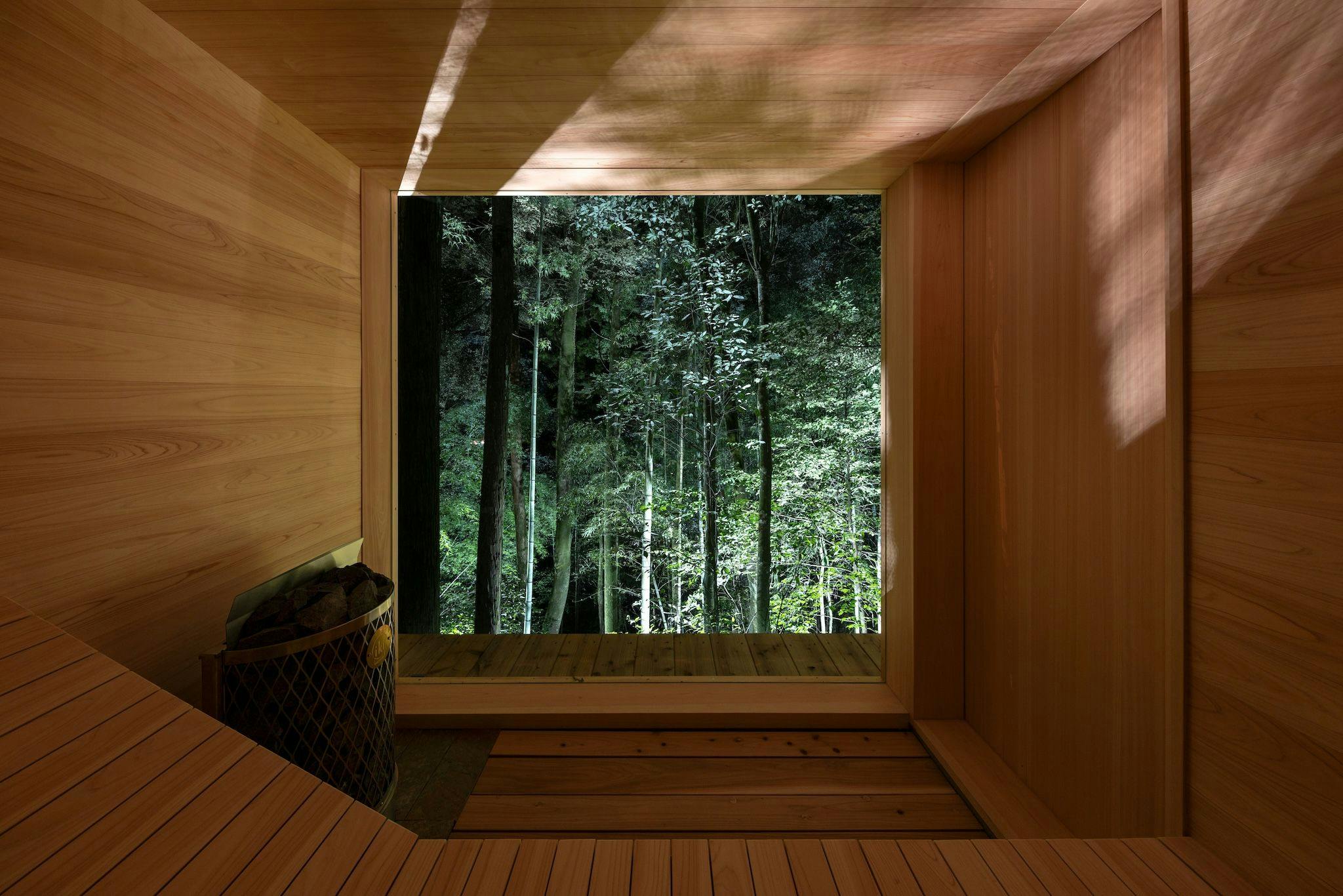 サウナ室の窓の向こうには、檜の森が広がる
