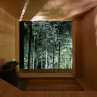 サウナ室の窓の向こうには、檜の森が広がる