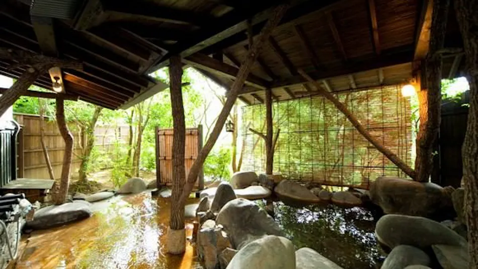 Hatago Kayausagi