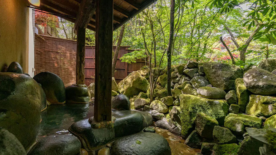 Hatago Kayausagi