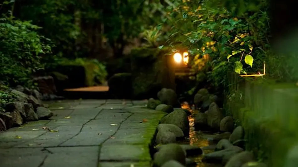Hatago Kayausagi