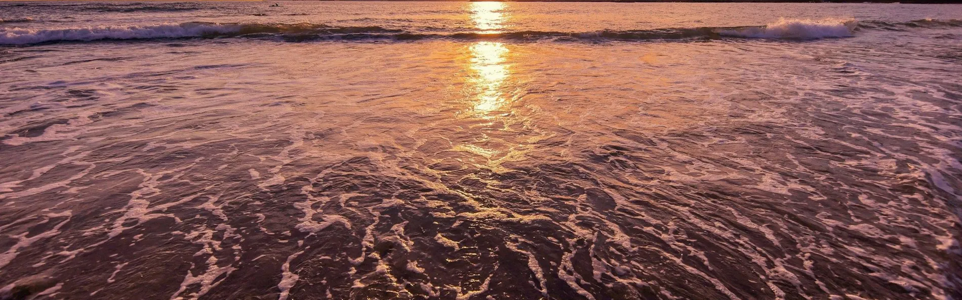 天津小湊温泉 城崎の源泉の湯 宿中屋