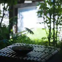 7室だけの小さな旅館「さかえや」