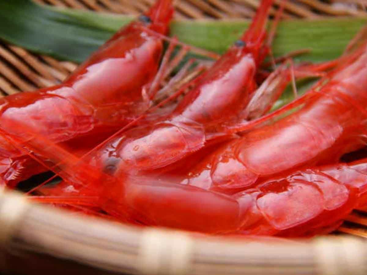金沢湯涌温泉　日本料理さかえや