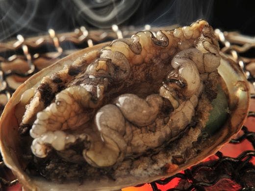 “アワビ踊り焼”付き創作和会席で舌鼓