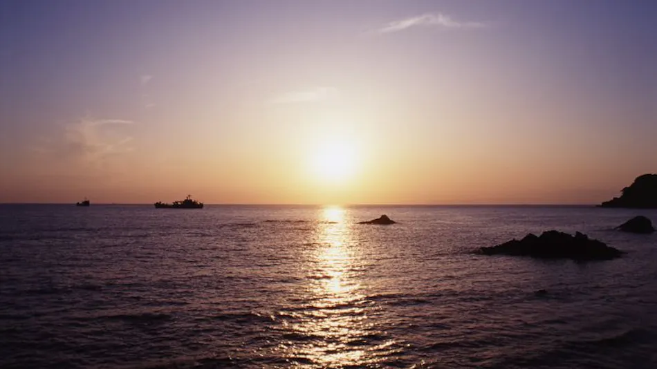 Nishi-Izu Dining Nishi-Izu Koyoi