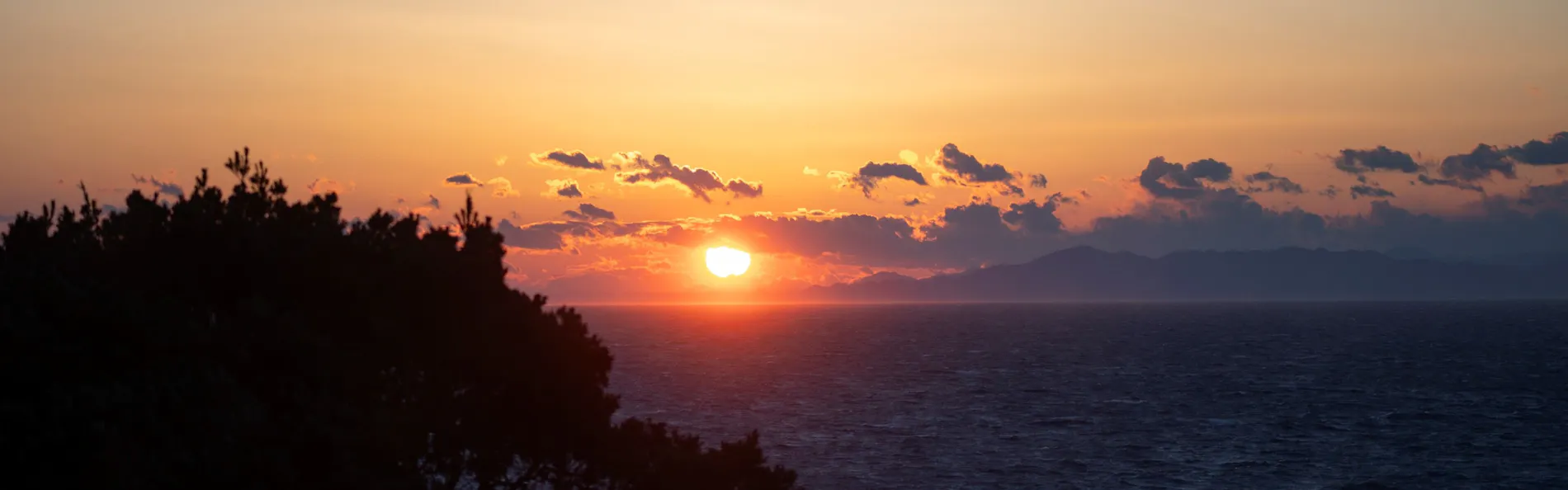 西伊豆ダイニング 西伊豆 今宵