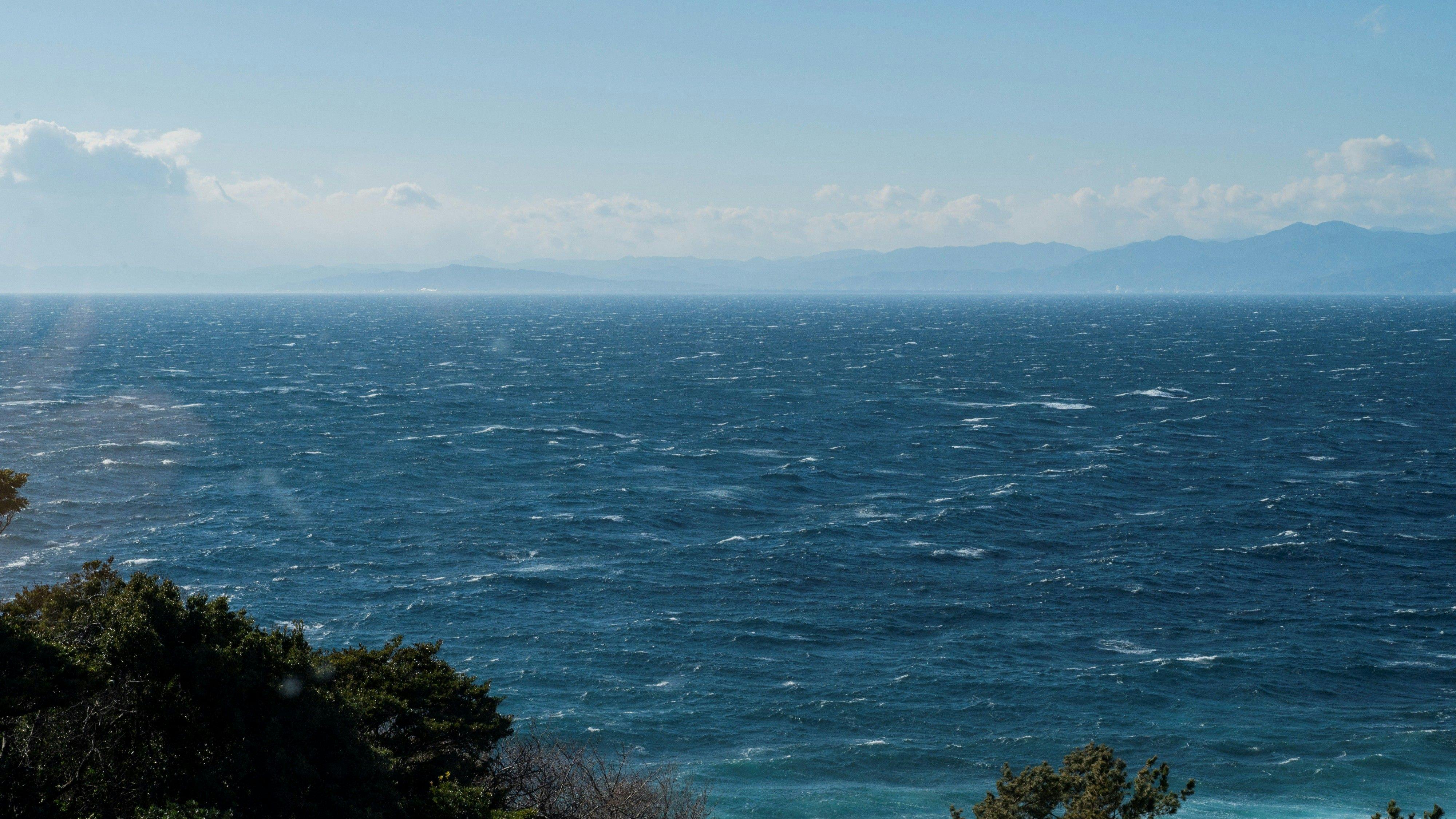 Nishi-Izu Dining Nishi-Izu Koyoi