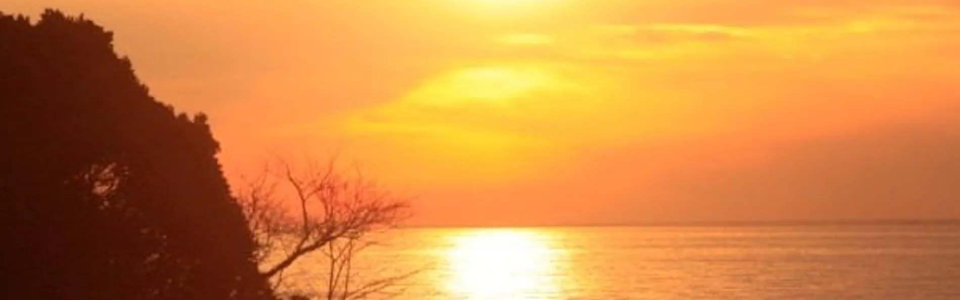 西伊豆ダイニング 西伊豆 今宵