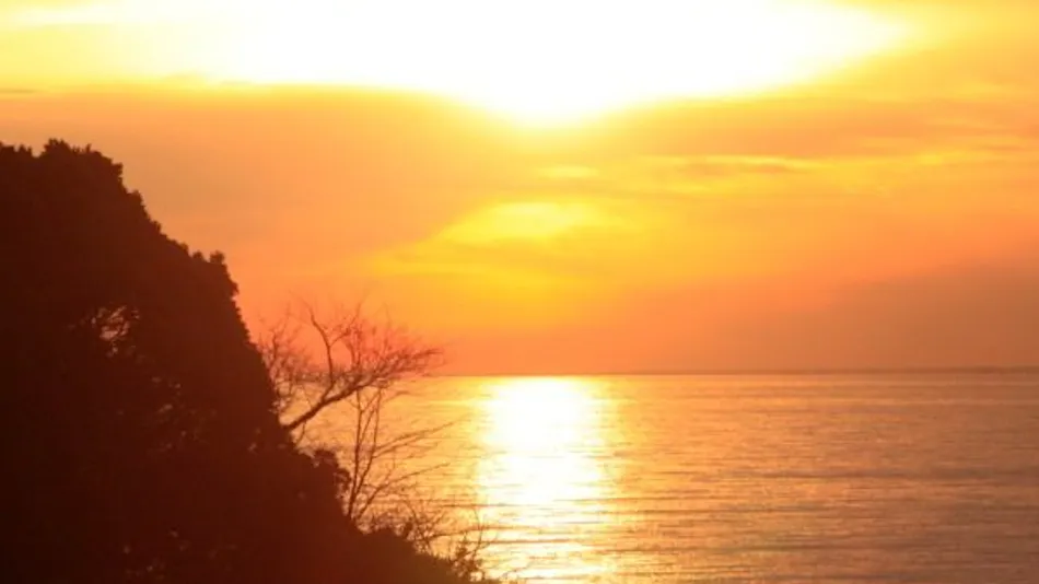 Nishi-Izu Dining Nishi-Izu Koyoi